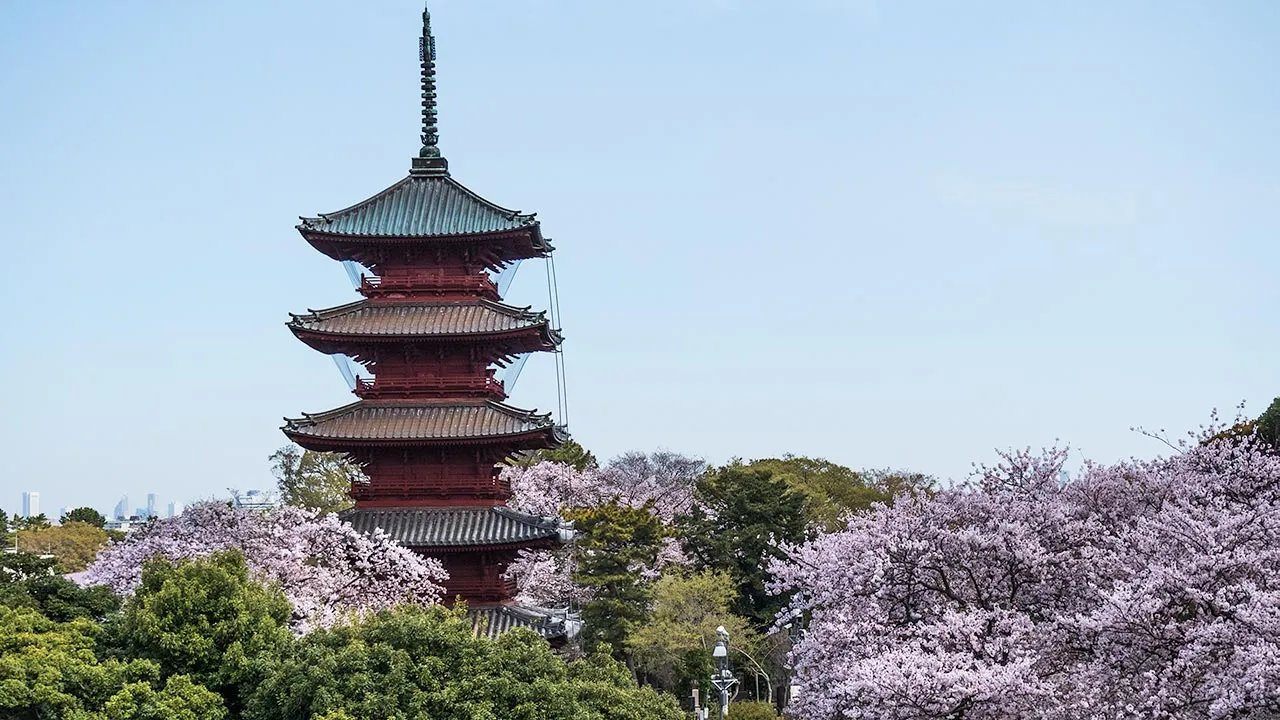 🏯 히고 혼묘지 (肥後 本妙寺) 이미지 10